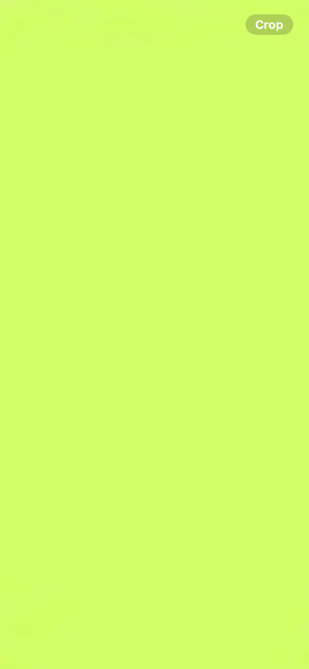 StrongHer. Sweatshirt. Acid Green