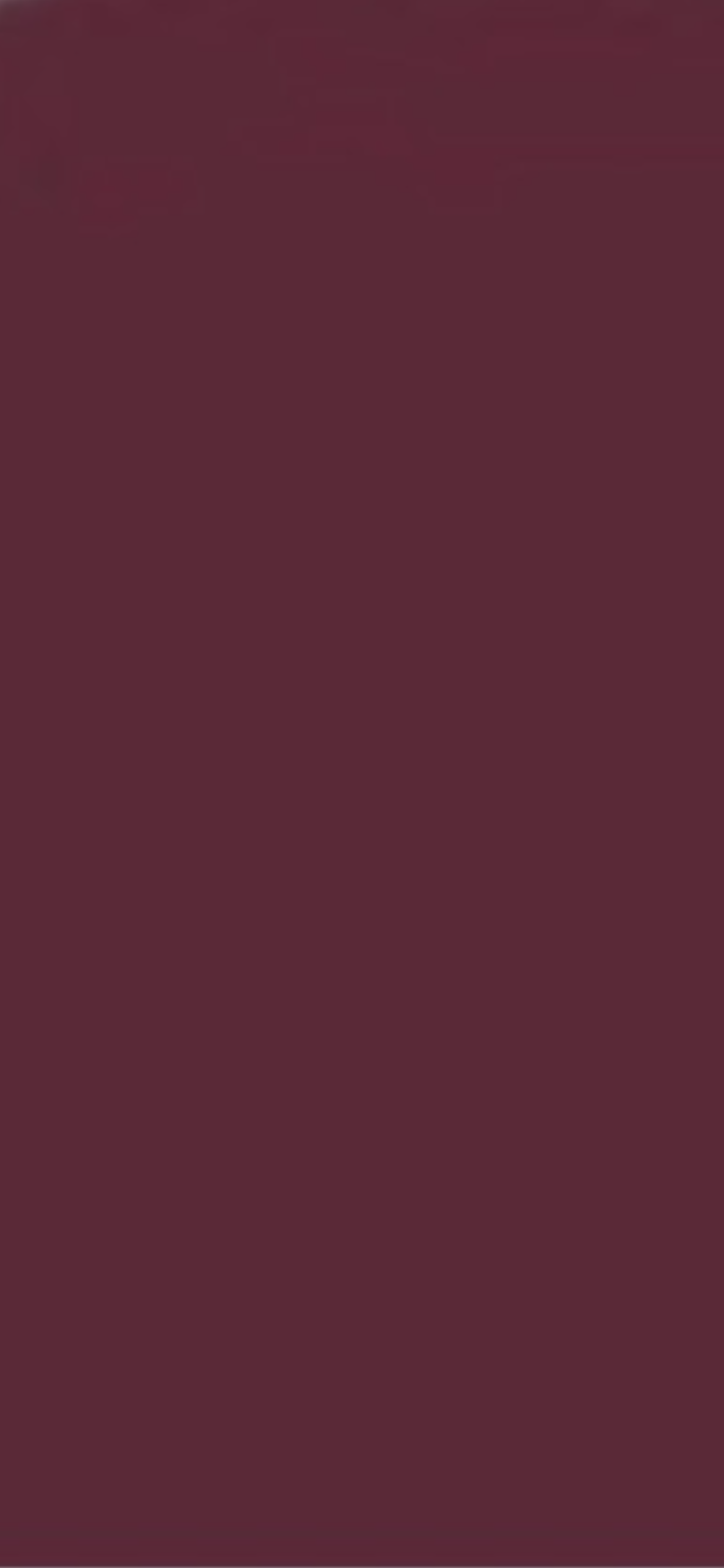 StrongHer. Sweatshirt. Burgundy